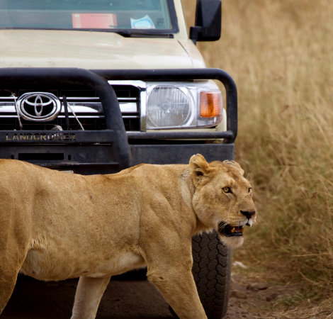 GAME DRIVE