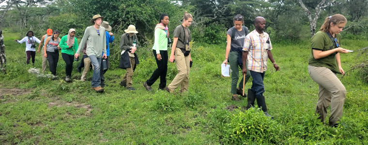 Walking Safari