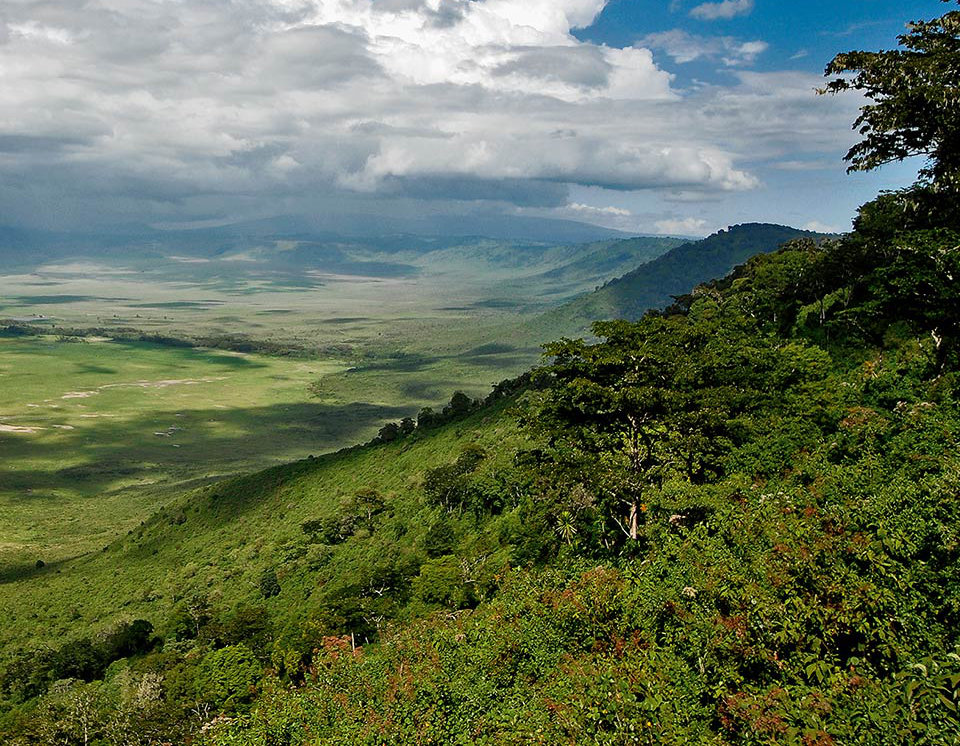 Kilimanjaro, Tanzania